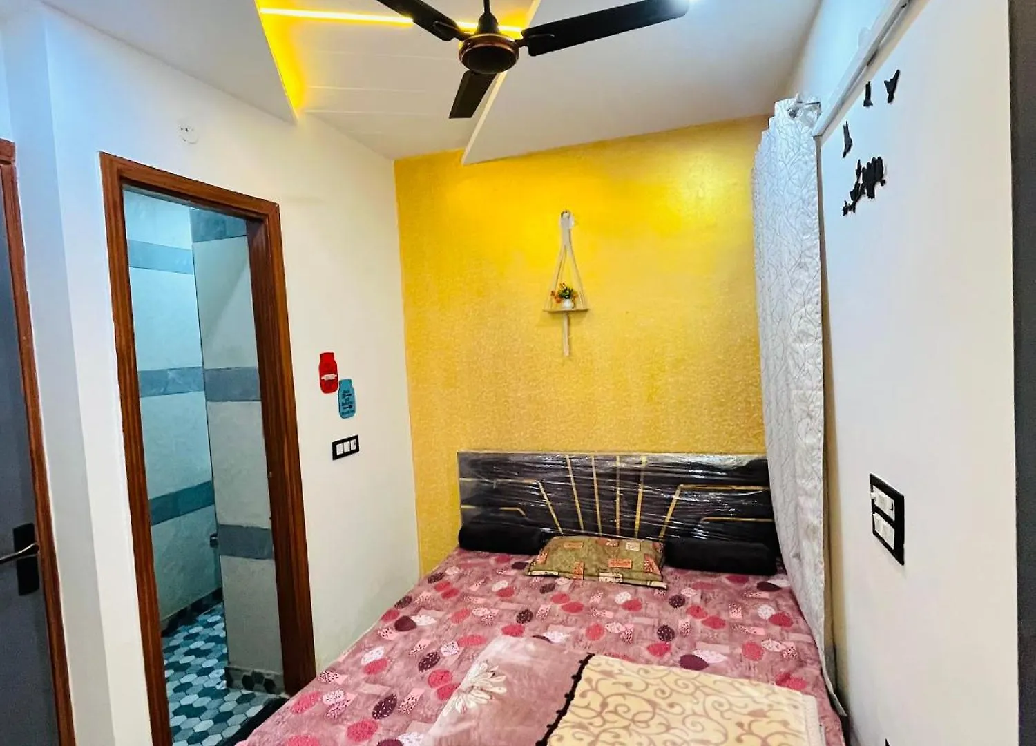 Luxury 1 Bhk Flat In New Delhi Apartment India
